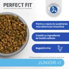 Perfect Fit Junior hrană uscată cu pui pentru pisici junioare 750 g
