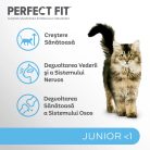 Perfect Fit Junior hrană uscată cu pui pentru pisici junioare 750 g