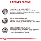 Royal Canin Veterinary Hrană uscată pentru câini juniori cu probleme digestive 1 kg