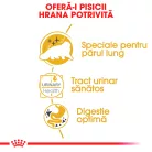 Royal Canin Persian Hrană umedă pentru pisici adulte 85 g
