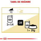 Royal Canin Persian Hrană umedă pentru pisici adulte 85 g