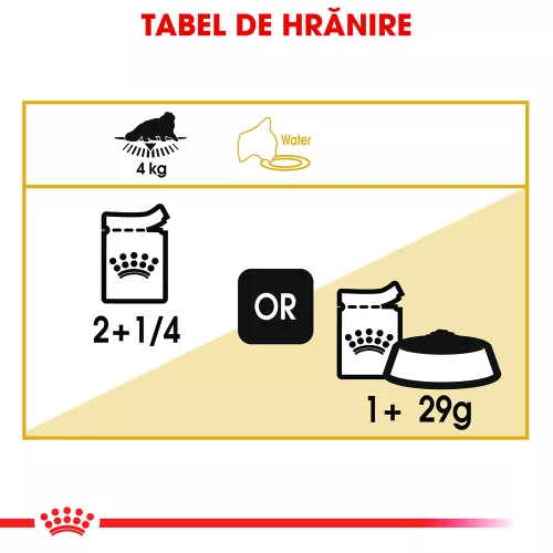 Royal Canin Persian Hrană umedă pentru pisici adulte 85 g