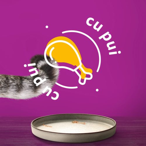 Whiskas Pure Delight hrană umedă pentru pisici adulte, cu pui în aspic 85 g