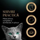 Sheba® Fresh & Fine Hrană umedă pisici adulte, pasăre în sos, plic 6 x 50 g
