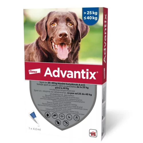 Advantix Spot-On Soluție antiparazitară pentru câini de talie mare 25–40 kg, 1 x 4 ml