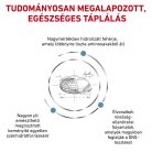 Royal Canin Veterinary Hrană uscată hipoalergenică pentru pisici 2 kg