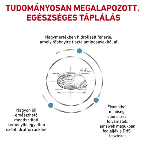 Royal Canin Veterinary Hrană uscată hipoalergenică pentru pisici 2 kg