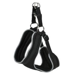 AniOne Ham auto de siguranță L