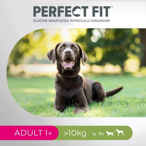 Perfect Fit hrană uscată cu pui pentru câini adulți de talie medie și mare 1,4 kg