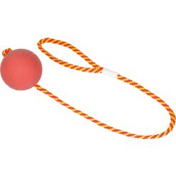   Fit+Fun Jucărie pentru câini in formă de minge cu frânghie 60 cm