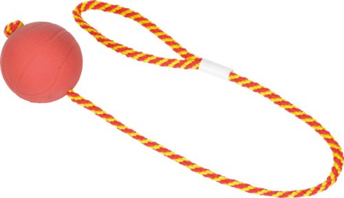 Fit+Fun Jucărie pentru câini in formă de minge cu frânghie 60 cm