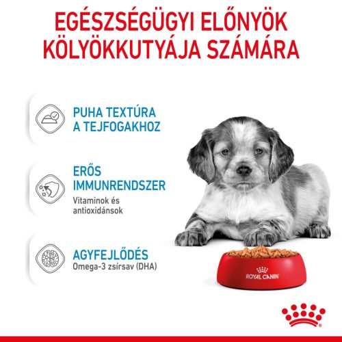 Royal Canin Hrană umedă pentru câini juniori de talie medie 140 g