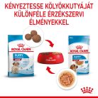 Royal Canin Hrană umedă pentru câini juniori de talie medie 140 g