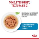 Royal Canin Hrană umedă pentru câini juniori de talie medie 140 g