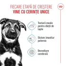 Royal Canin Maxi Puppy Hrană umedă pentru câini junior de talie mare 140 g