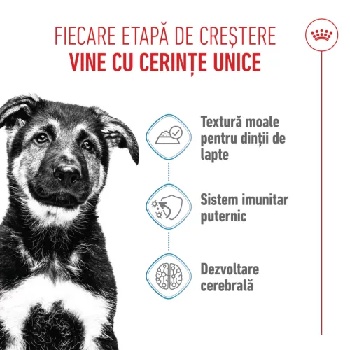 Royal Canin Maxi Puppy Hrană umedă pentru câini junior de talie mare 140 g