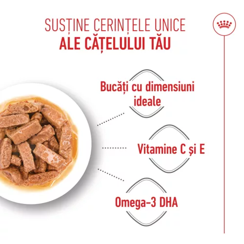Royal Canin Maxi Puppy Hrană umedă pentru câini junior de talie mare 140 g