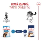 Royal Canin Maxi Puppy Hrană umedă pentru câini junior de talie mare 140 g