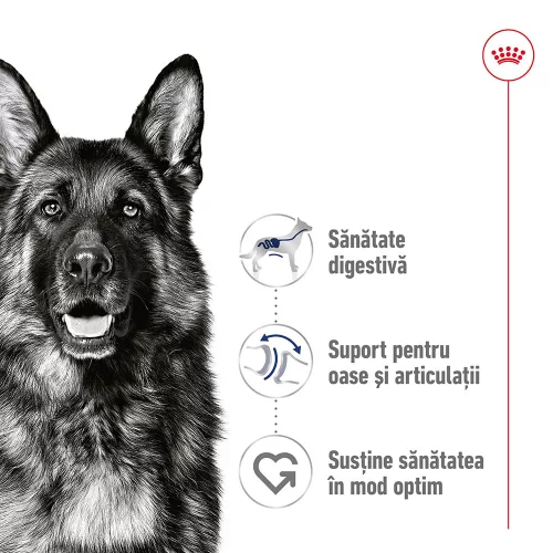 Royal Canin Maxi Adult Hrană umedă pentru câini, bucăți în sos 140 g