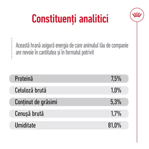 Royal Canin Maxi Adult Hrană umedă pentru câini, bucăți în sos 140 g