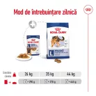 Royal Canin Maxi Adult Hrană umedă pentru câini, bucăți în sos 140 g