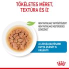 Royal Canin Hrană umedă pentru câini juniori de talie mică 85 g