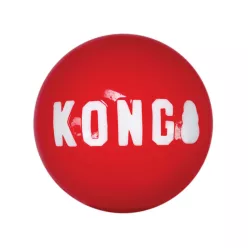 KONG Signature Ball Jucărie pentru câini (2‑pack) S