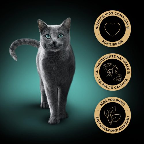 Sheba Hrană umedă pentru pisici adulte, selecție mixtă în sos 4 x 85 g