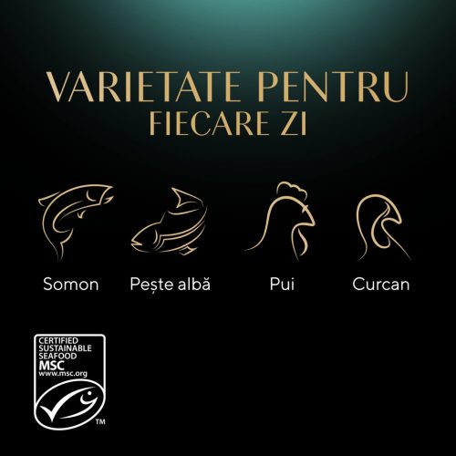 Sheba Hrană umedă pentru pisici adulte, selecție mixtă în sos 4 x 85 g