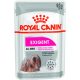 Royal Canin Exigent Care Hrană umedă pentru câini 85 g