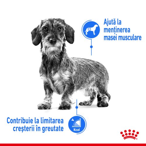 Royal Canin Mini Light Weight Care Adult Hrană uscată pentru câini 1 kg