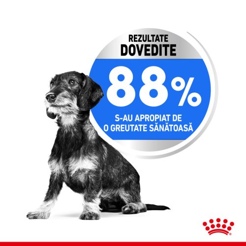 Royal Canin Mini Light Weight Care Adult Hrană uscată pentru câini 1 kg
