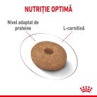 Royal Canin Mini Light Weight Care Adult Hrană uscată pentru câini 1 kg