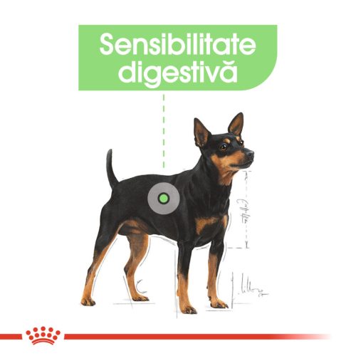 Royal Canin Mini Digestive Care Hrană uscată pentru câini, confort digestiv 1 kg
