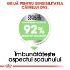 Royal Canin Mini Digestive Care Hrană uscată pentru câini, confort digestiv 1 kg