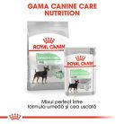 Royal Canin Mini Digestive Care Hrană uscată pentru câini, confort digestiv 1 kg