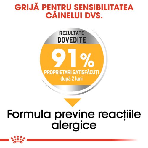Royal Canin Mini Dermacomfort Hrană uscată pentru câini 1 kg 