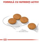 Royal Canin Mini Dermacomfort Hrană uscată pentru câini 1 kg 