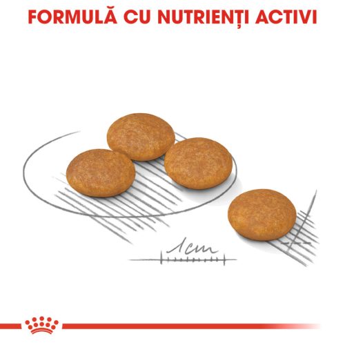 Royal Canin Mini Dermacomfort Hrană uscată pentru câini 1 kg 