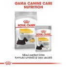 Royal Canin Mini Dermacomfort Hrană uscată pentru câini 1 kg 