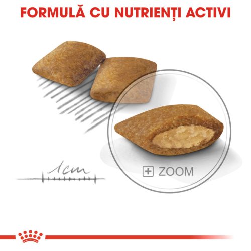 Royal Canin Mini Exigent Hrană uscată pentru câini cu un apetit capricios 1 kg