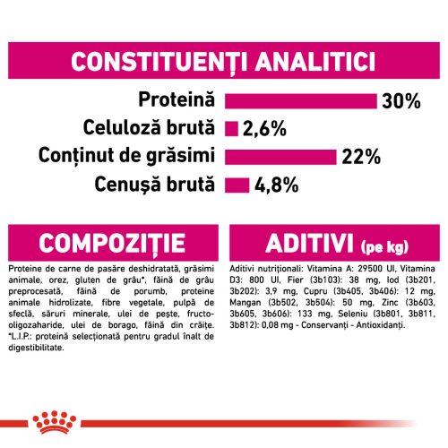 Royal Canin Mini Exigent Hrană uscată pentru câini cu un apetit capricios 1 kg