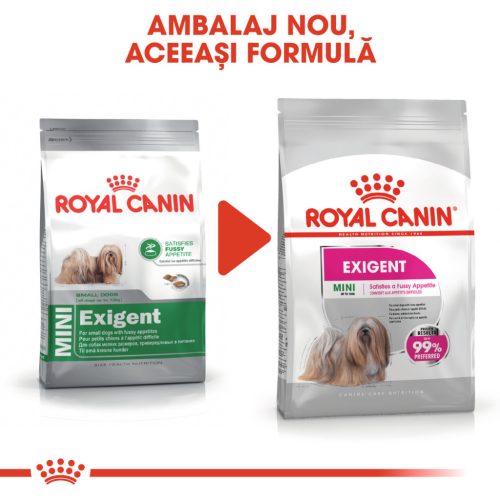 Royal Canin Mini Exigent Hrană uscată pentru câini cu un apetit capricios 3 kg