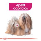 Royal Canin Mini Exigent Hrană uscată pentru câini cu un apetit capricios 3 kg