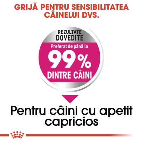 Royal Canin Mini Exigent Hrană uscată pentru câini cu un apetit capricios 3 kg