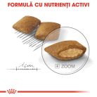 Royal Canin Mini Exigent Hrană uscată pentru câini cu un apetit capricios 3 kg