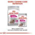 Royal Canin Mini Exigent Hrană uscată pentru câini cu un apetit capricios 3 kg