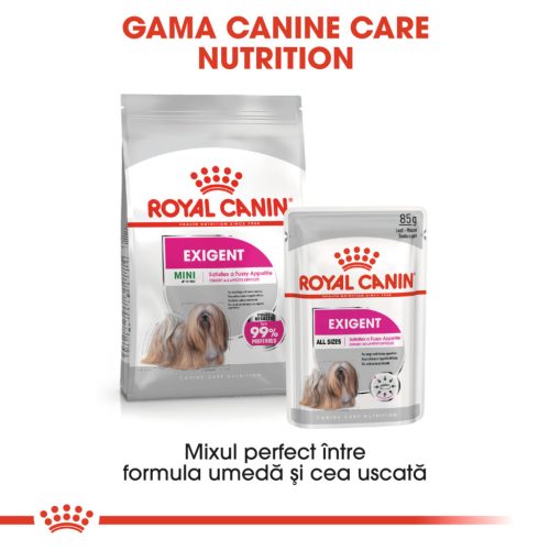 Royal Canin Mini Exigent Hrană uscată pentru câini cu un apetit capricios 3 kg