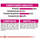 Royal Canin Mini Exigent Hrană uscată pentru câini cu un apetit capricios 3 kg