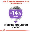 Royal Canin Mini Sterilised Adult Hrană uscată pentru câini 1 kg